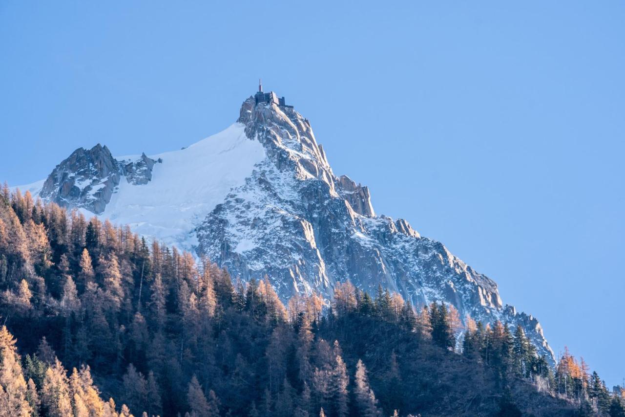 Chamonix Sud Studio With Mont Blanc Views エクステリア 写真