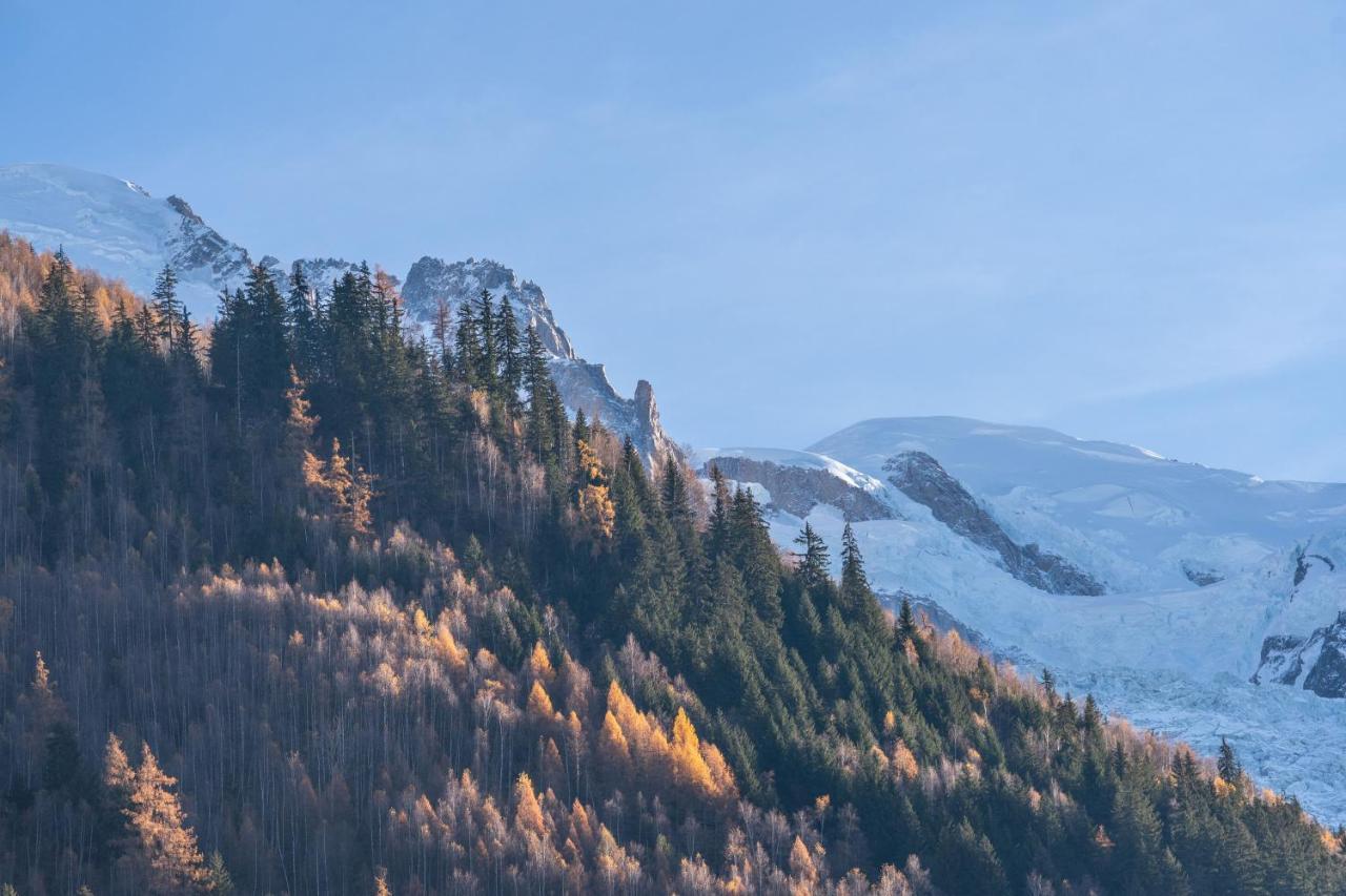 Chamonix Sud Studio With Mont Blanc Views エクステリア 写真